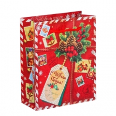GiftPack Подарок от Деда Мороза Пакет ламинат вертикальный, 23х27х8см