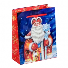 GiftPack Дед Мороз Пакет ламинат вертикальный, 18х23х8см